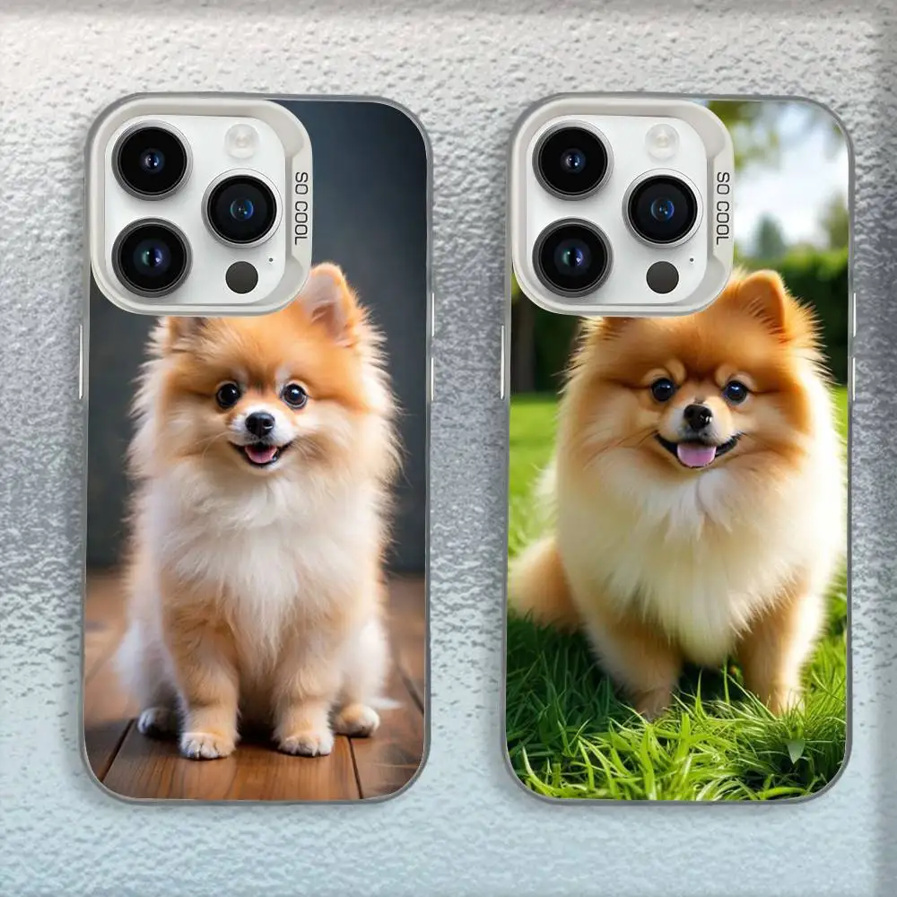 

Чехол для телефона с милыми померанскими собаками для iPhone 16,15,14,13,12,11, Mini, Pro, E, SE4, MAX, White Candy, матовый противоударный чехол