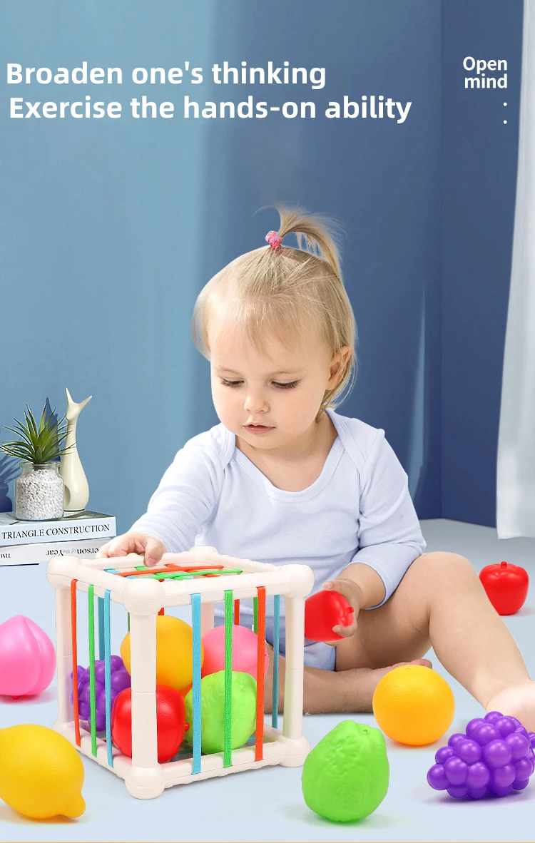 Frucht-Greifspielzeuge, Baby-Beruhigungsspielzeuge, interaktive Eltern-Kind-Spiele, Frucht-Sesselle, kognitives Training für Kinder – Detail 2