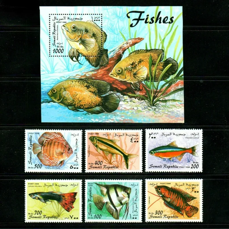 6 PCS+1, Somalia, 1998, Fish Stamps, Real Original Post Stamps, MNH