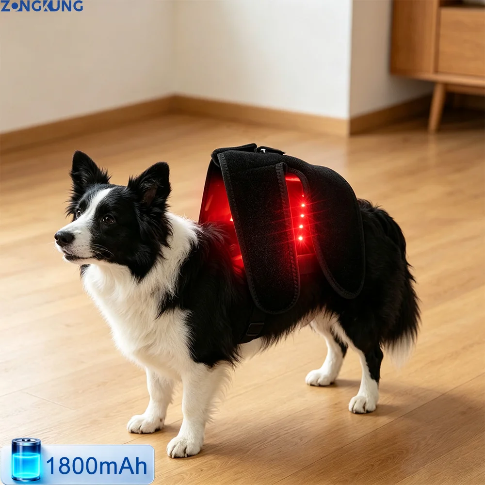 Veterinary Use LED Red and Infrared Light Therapy Recovery Device Promote Circulation Relieve Discomfort Dog Knee Brace Charging