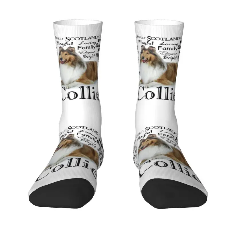 Calcetines elásticos con estampado de mascotas para hombre y mujer, medias con estampado de perro Collie, para verano, Otoño e Invierno