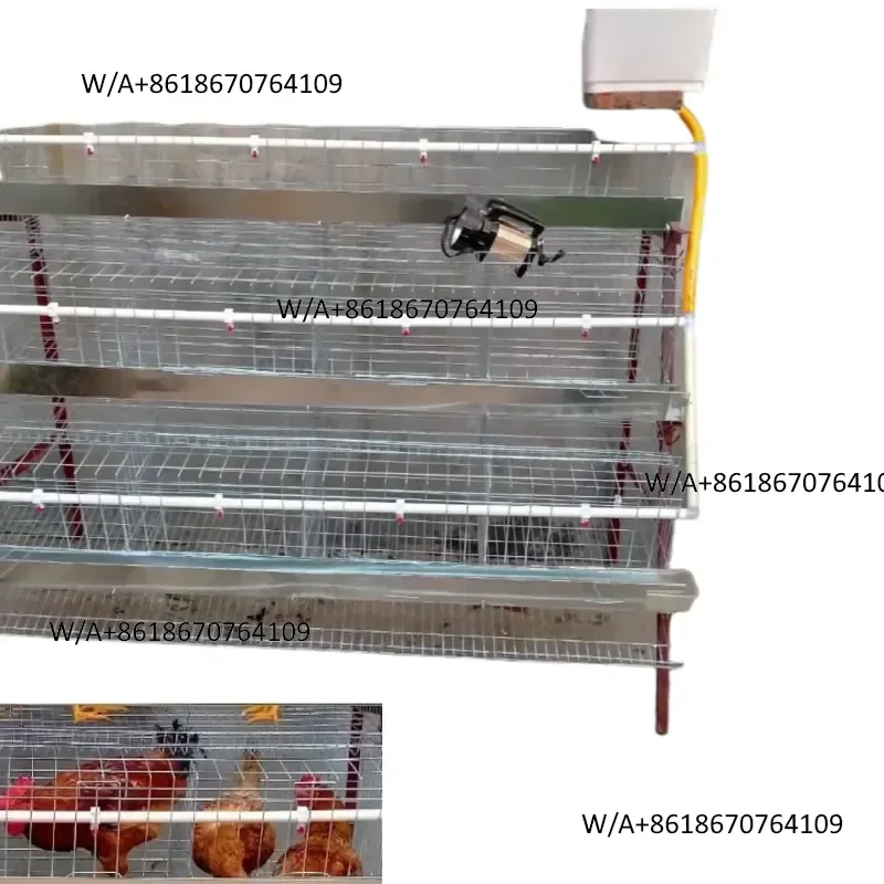 Fully automated poultry brooding cage system for farm chicken equipment, easy to maintain