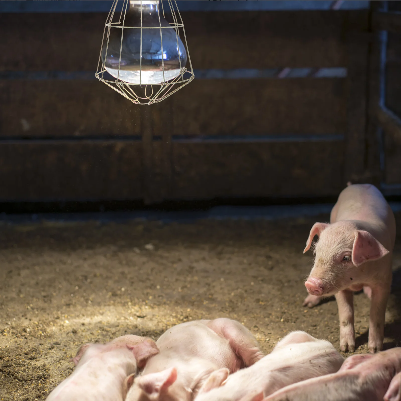 

E27 Small Protective Iron Lamp Shade Wire Cage Bulb Guard Vintage Industrial Pendant Lamp Light Cage Iron Bulb Shade