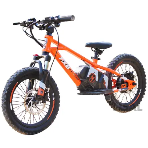 2024 유럽 연합 미국 최고 인기 FXB 12 인치 전기 모터, 브러시리스 36V 250W-350W 리튬 배터리 전원 밸런스 자전거 맞춤형 도매
