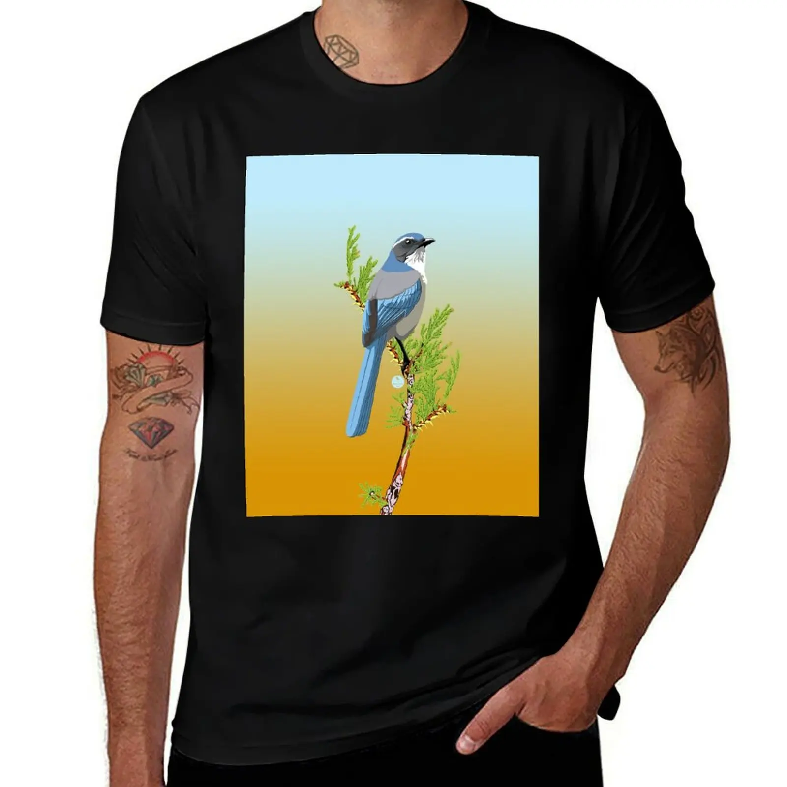 

Woodhouse's Scrub-Jay T-Shirt man t shirt luxury cotton t shirts man 100% man graphic t shirt T-Shirt