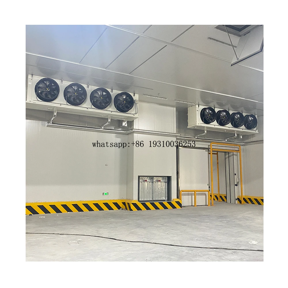 

Special Process Industrial Room Cold Room Condenser Unit Optimal Storage Solution