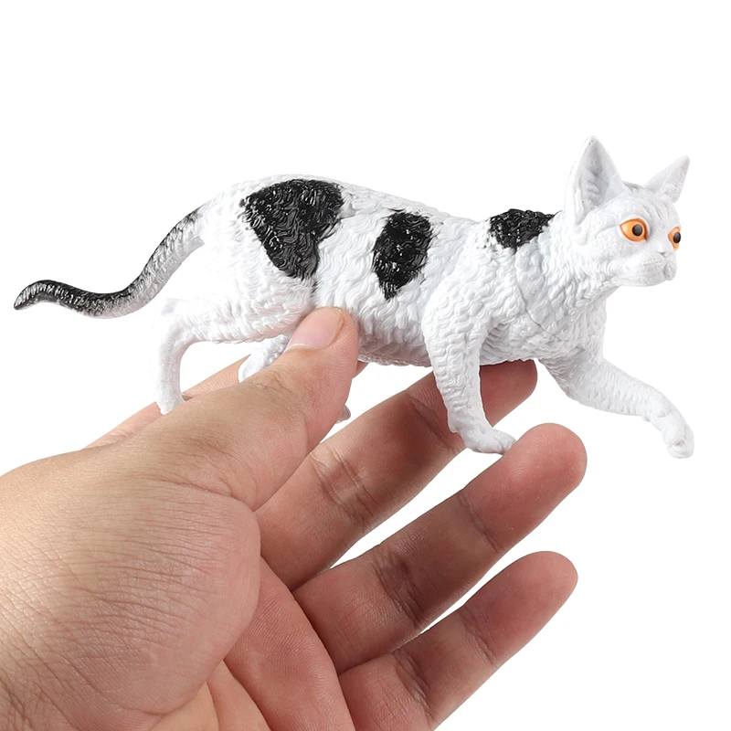Oenux Cat Model Action Figure Siamese Sphynx Persian Cat MaineCoon Kitty Figurine Cute Home Decoration Educational Kids Toy Gift
