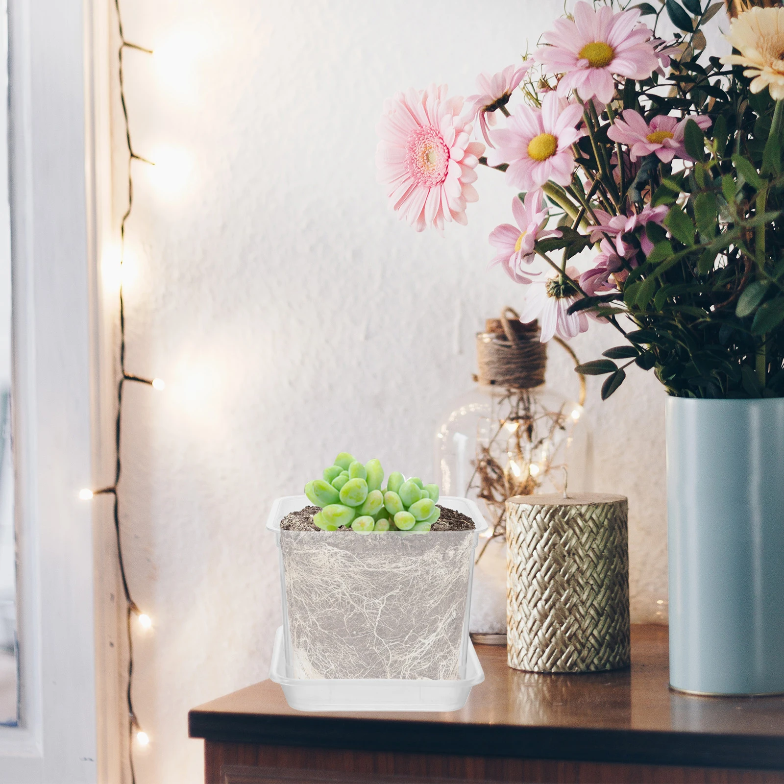 

1Set Sturdy Plastic Plant Nursery Pots Beautiful Texture Smooth Surface Indoor Display Decor Orchid Pot Plastic Plant Pots