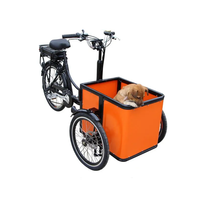 Mini Electric Mobile Cargo Bike Adult Tricycle Shopping Cart Trike Carrying Kids Children Pets Dog Bakfiets