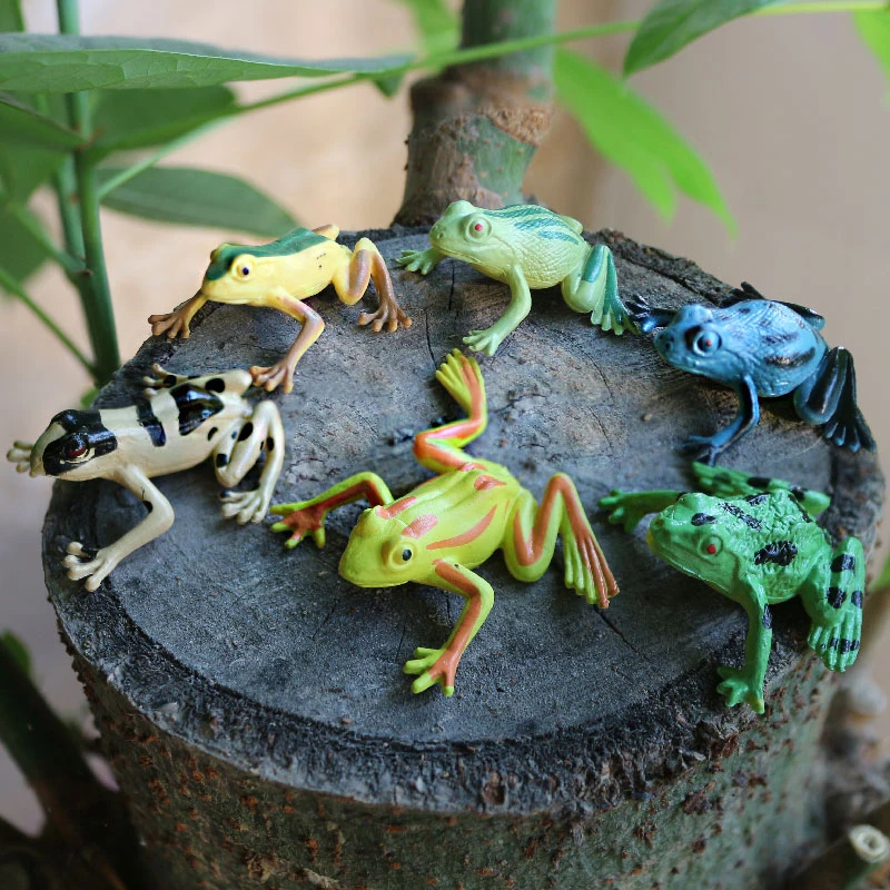 12pcs Mini Frogs,1 Grass and 1 stone Toy Set Small Realistic Frog Toy Decorations Frogs Rain Forest Lifelike Art Lawn decoration