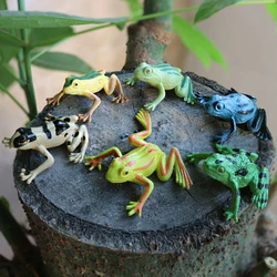 12pcs Mini Frogs,1 Grass and 1 stone Toy Set Small Realistic Frog Toy Decorations Frogs Rain Forest Lifelike Art Lawn decoration