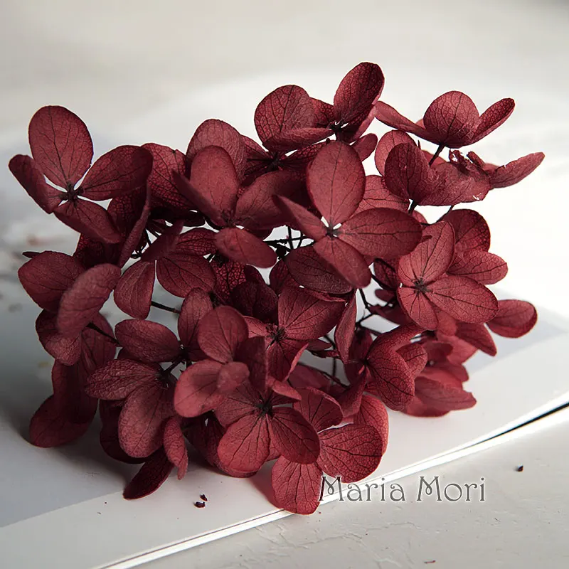 Ellipsebloemblaadjes Geconserveerde Hortensia Paniculata Bloemen Kantoor Decor Kristallijm DIY Bloemen Geurkaarsen Materiaal