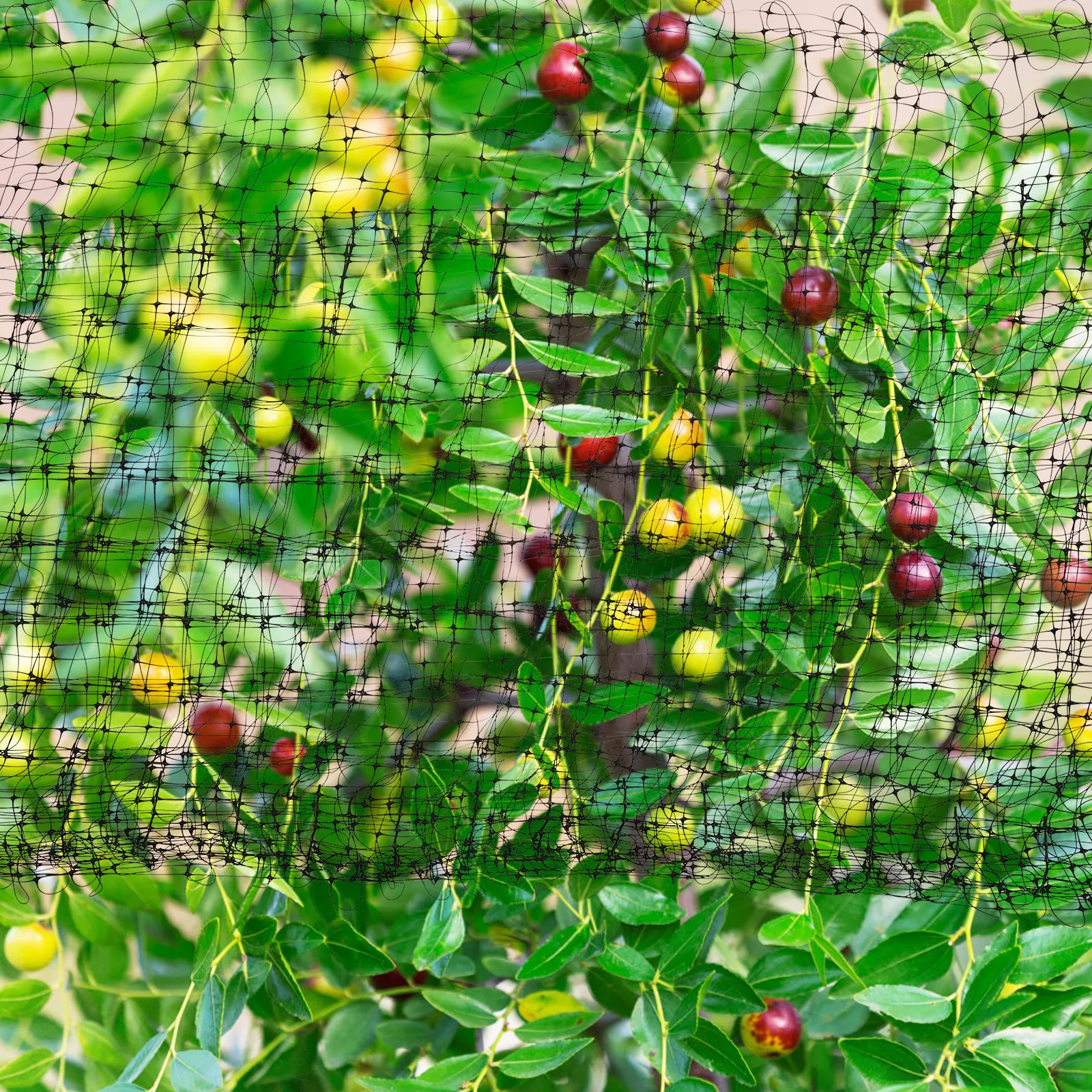 1Set Anti Bird Netting Garden Mesh Durable Lightweight Protective Netting for Plants Vegetable Fruit Tree Cover Net