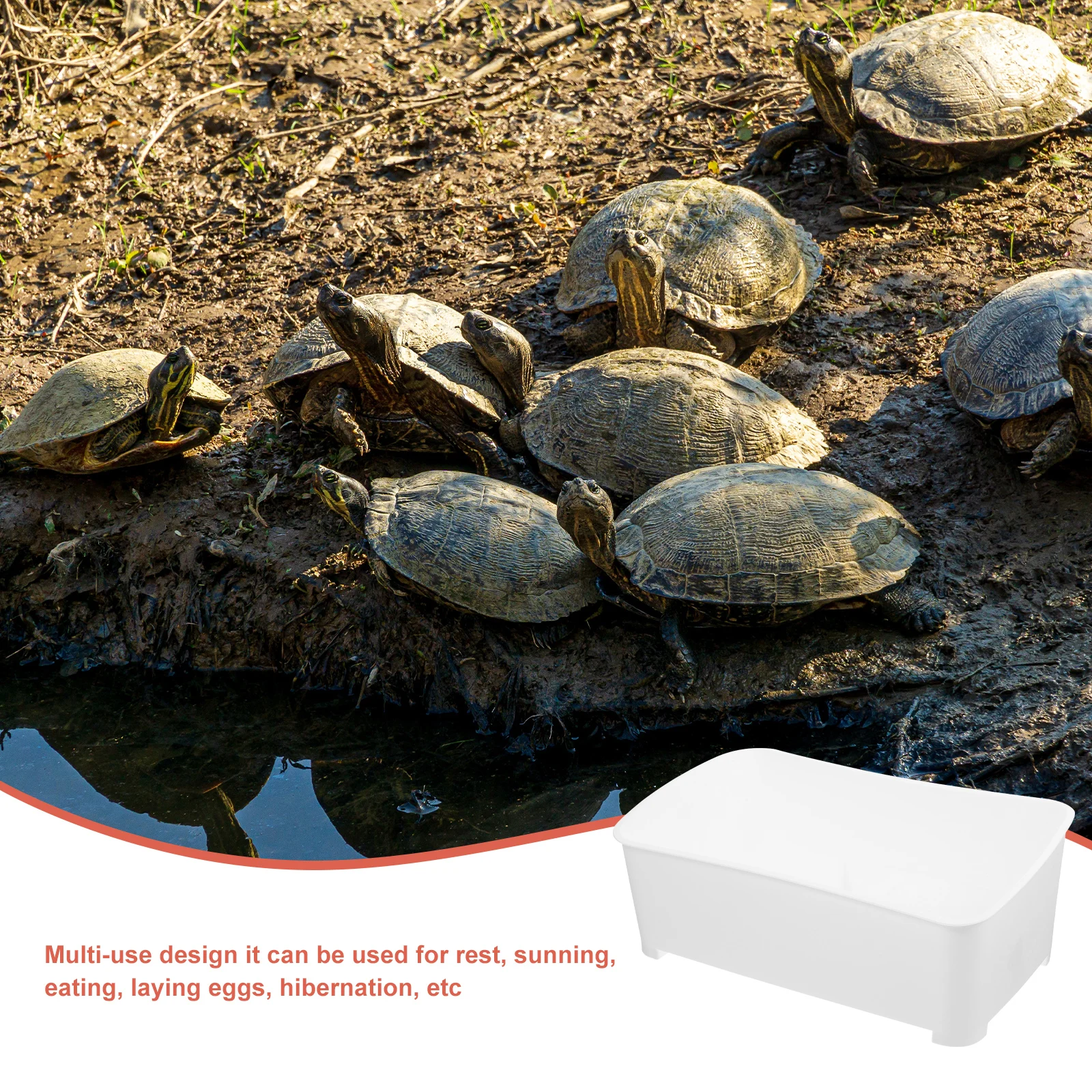 

Turtle Tank Aquarium Plastic Platform Multi use Reptile Tank Plants Environment Pet Feeding Box Household