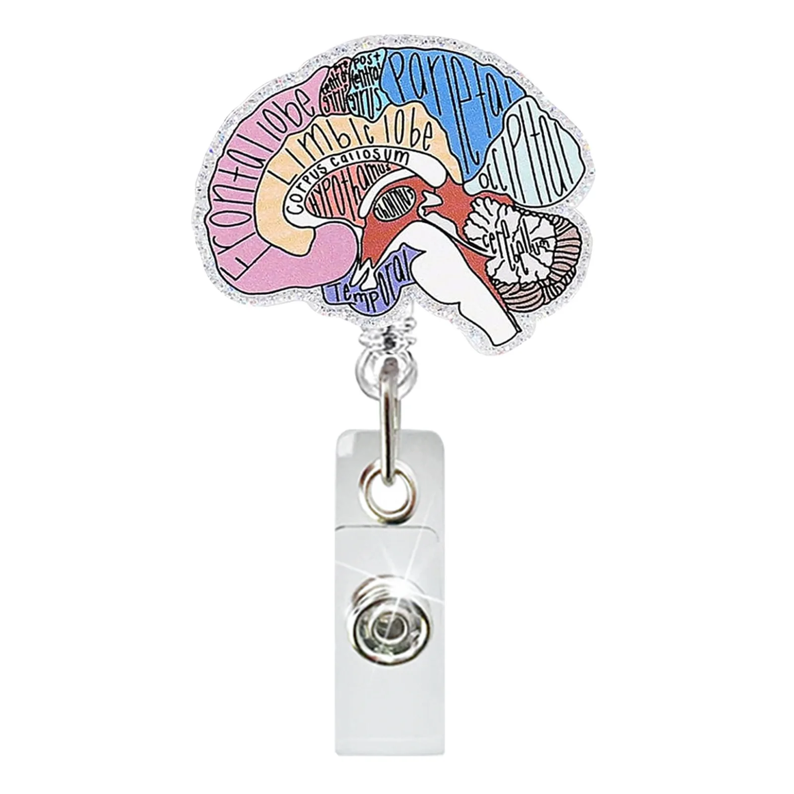 Acrylic Organ Diagram Lung Brain Easy-Pull Buckle Rotating Badge Scroll Id Buckle Doctor Nurse Telescopic Easy-Pull Id Holder