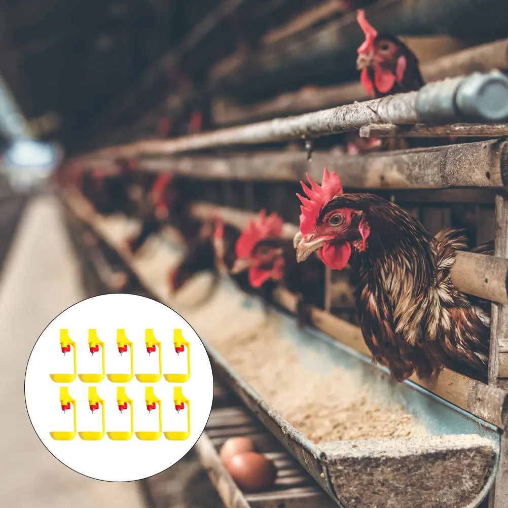 

10Pcs Steel Ball Chick Drinking Fountains Durable Plastic Chicken Waterer Bright Color Design Practical Poultry Farms Use