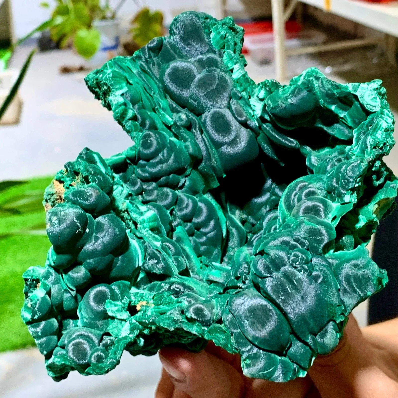 الملكيت المخملي الطبيعي، مجموعات كريستال من الحجر الخام الكريستالي، أحجار كريمة للطاقة مع خصائص الشفاء الروحي، العرافة #1