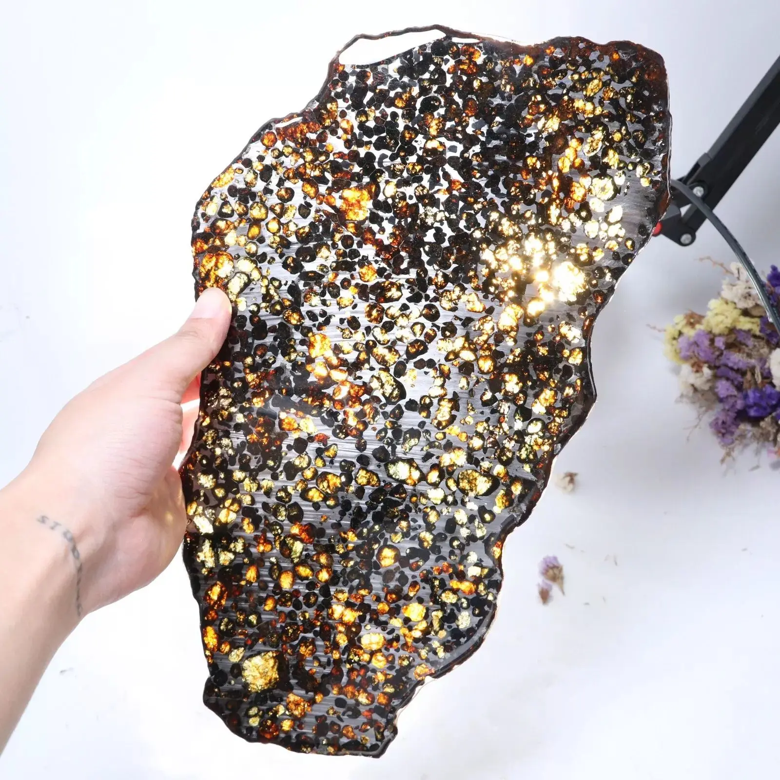 Beautiful SERICHO Pallasite Meteorite Slice - From Kenya