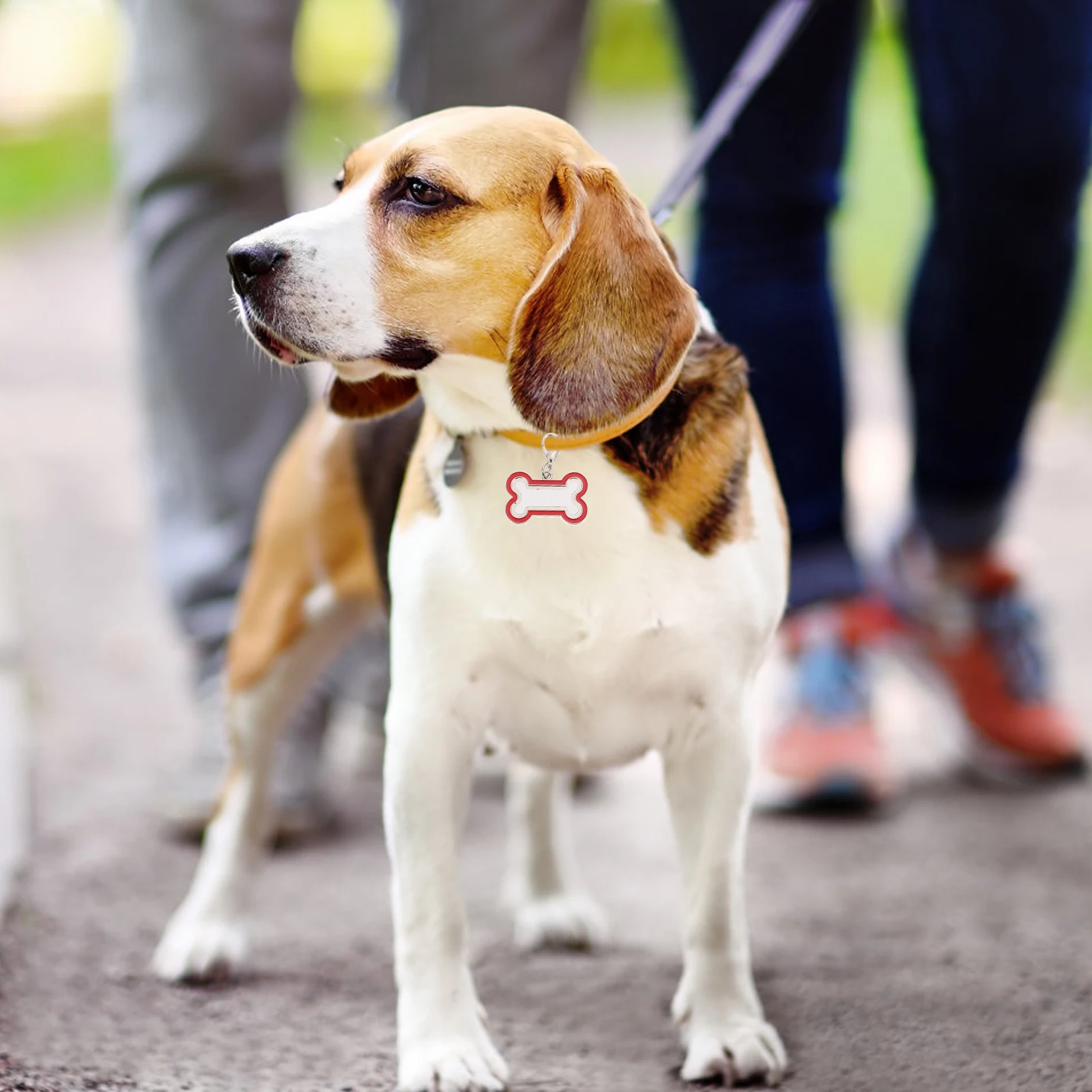 

4pcs Heat Transfer Dog Tag Stainless Steel Pet ID Plate Charm Sublimation Puppy Name Phone Number Hanging Tag