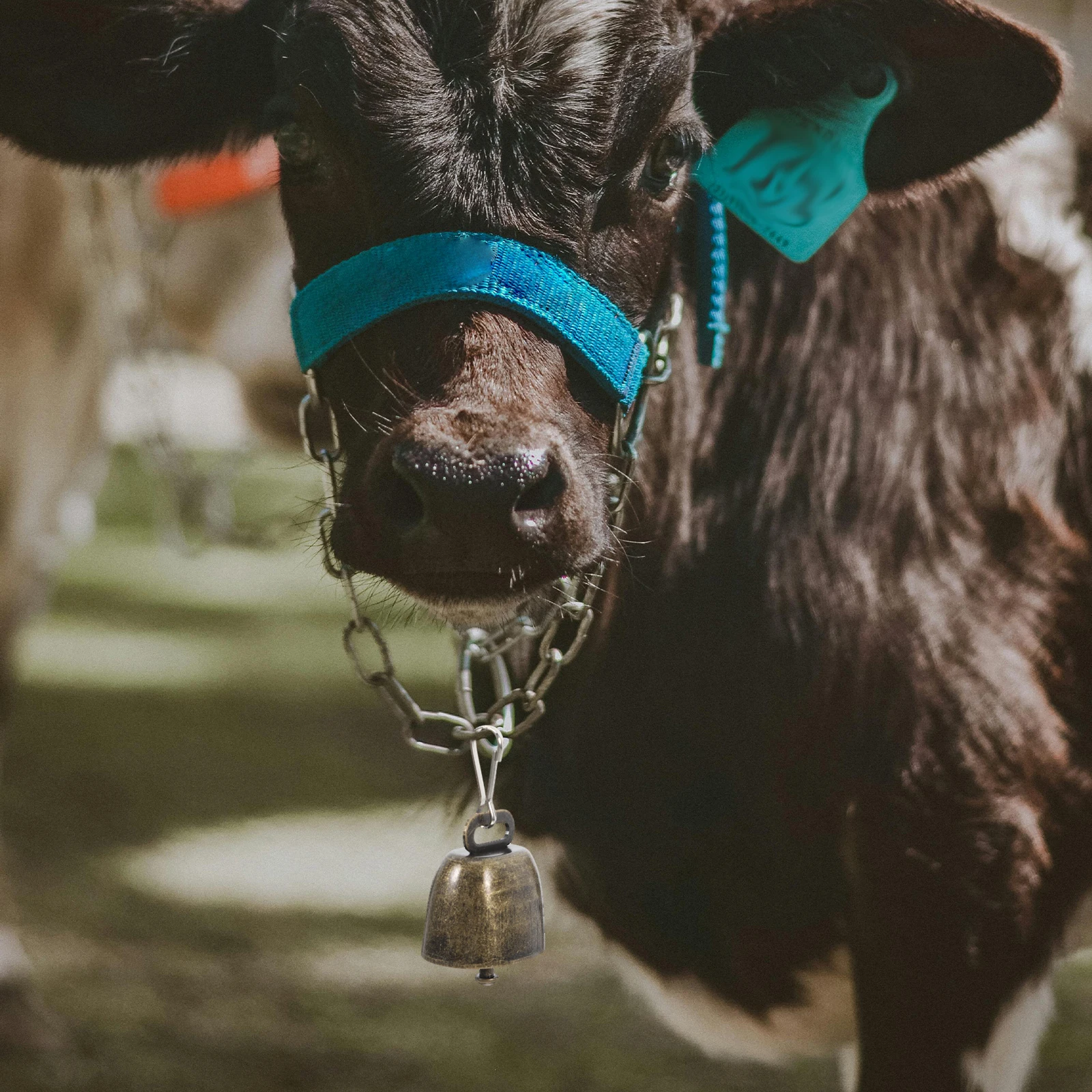 

6pcs Iron Cow Bells Unique Crisp Sound Pet Collar Accessories Crafting Jewelry Keychain Decor Vintage Bell Ornaments for Dog
