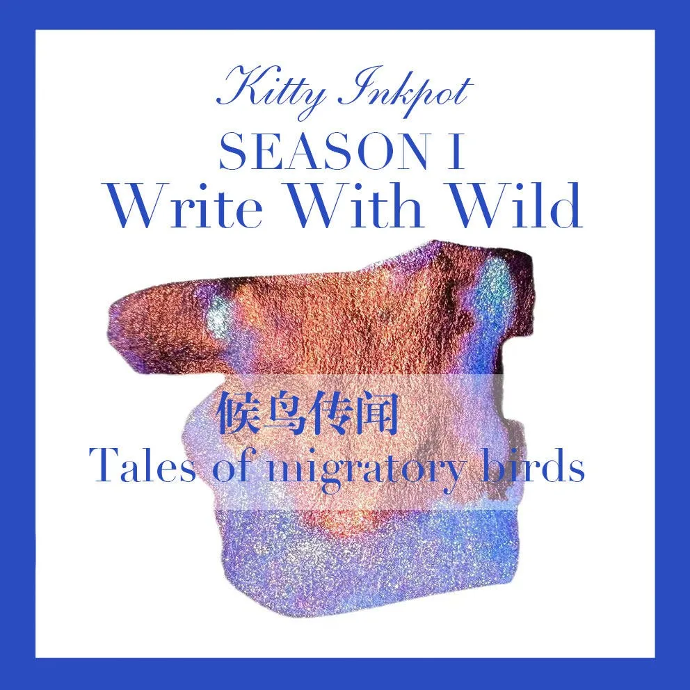 

KittyInkpot Rumors of Migratory Birds Color 5/25ml Sheen Fountain Pen Ink Gradient Color Ink School Supplies Stationery