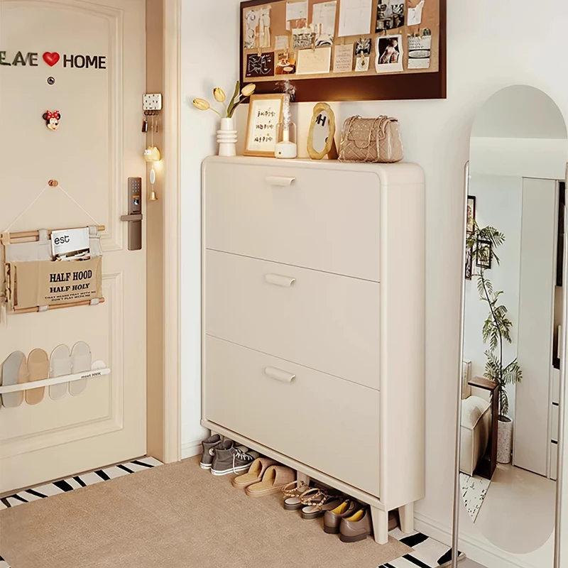 Modern Ultra Thin Shoe Cabinet Designer Nordic Luxury Entrance Hall Shoe Cabinet Vertical Living Room Muebles Home Furniture