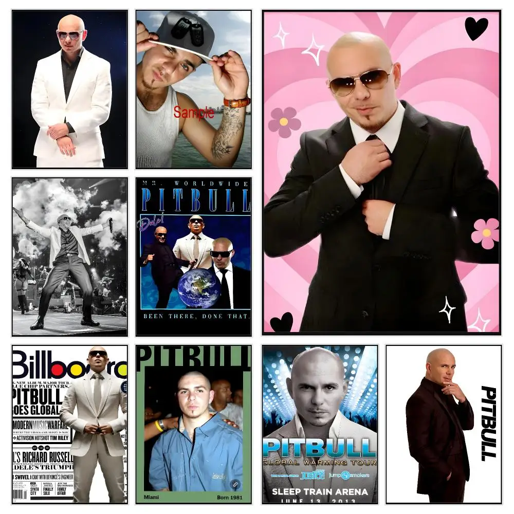 Pop Singer Pitbull Poster Trendy Aesthetic Wall Decor for Dorm & Bedroom