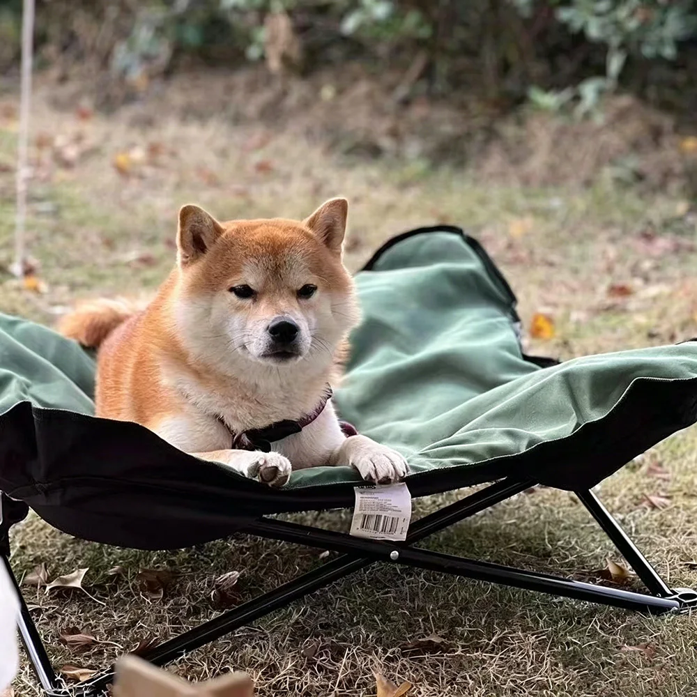 Cama elevada plegable impermeable para gatos y perros, portátil - imagen 2
