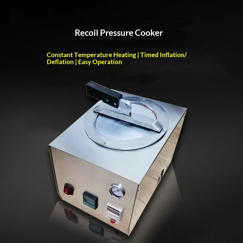 500W Dental Pressure Cooker Backwash Pressure Cooker Resin Polymerizer To Remove Air Bubbles Pressure Cooker Denture Processing