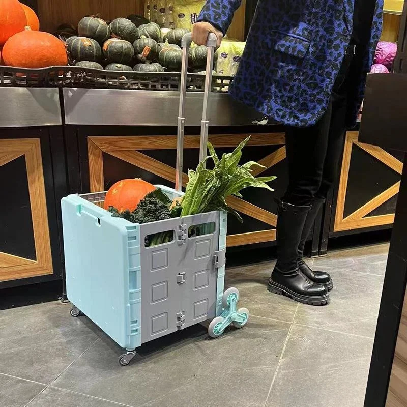 chariot-de-courses-portable-en-plastique-avec-poignee-chariot-a-legumes-petit-chariot-a-main-chariot-a-usage-domestique-en-alliage-d'aluminium