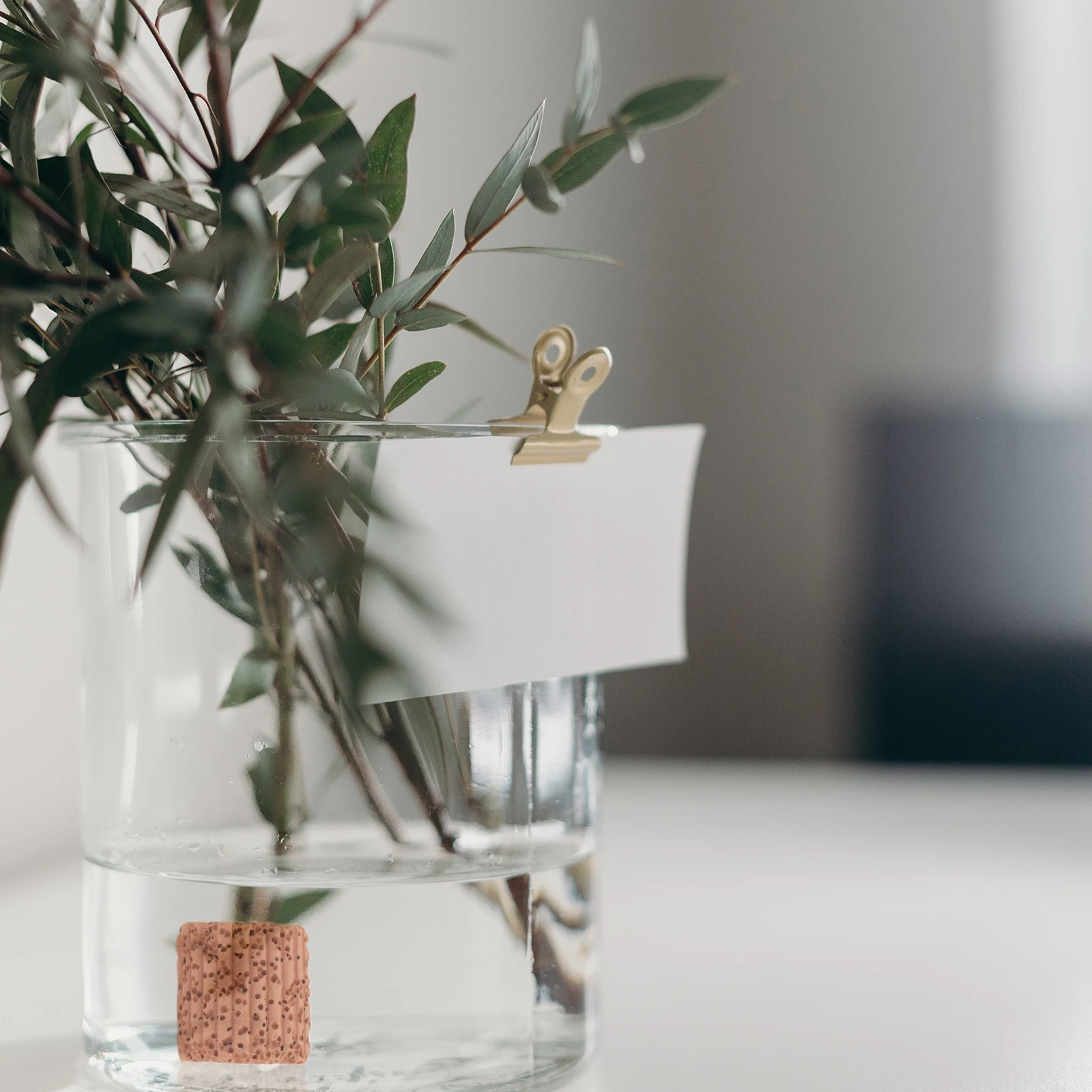 

20Pcs Pottery Water Plant Fixed Ring Gravity Holder for Aquarium Fish Tank Landscape Decoration Water Grass Plant Fixed Ring