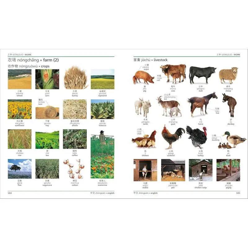 Mandarin Chinese English Bilingual Visual Dictionary DK Publishing DK Publishing 9780241667750 Book