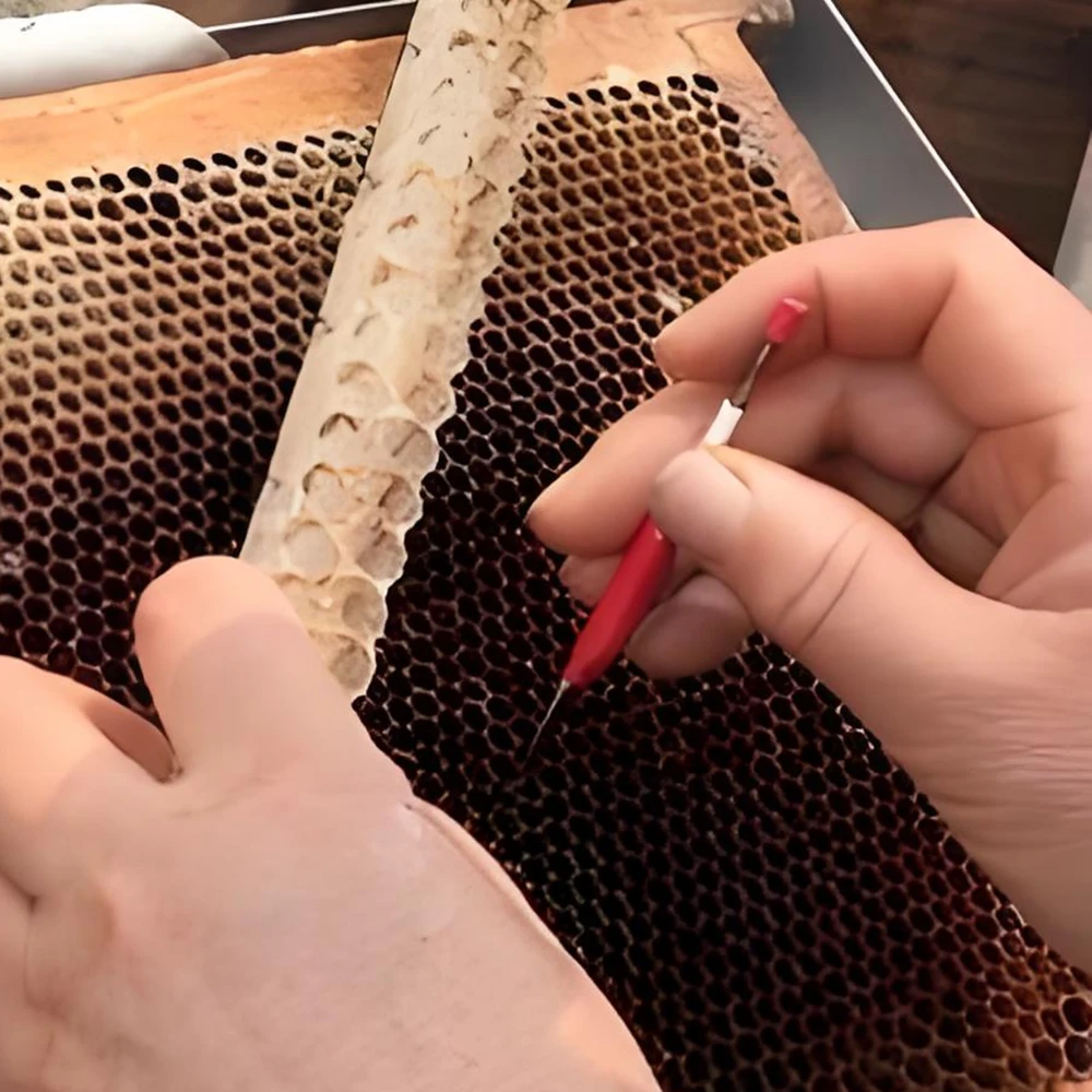 5PC-250PC Beekeeping Grafting Larvae Needle Pin Plastic Transfer Worms Egg New Queen Rearing Tools Colony Artificial Fecundation