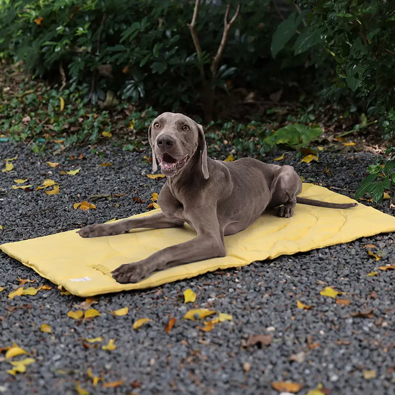 Portable Pet Mat Foldable Pet Supplies Waterproof Dog Beds for with Storage Carry Bag Easy To Clean Kennel Outdoor Camping