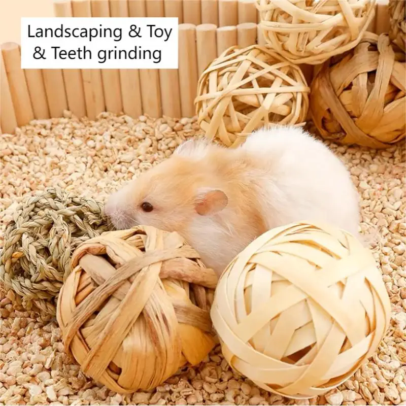 

Hamster Cage Landscaping Natural Vegetable Teeth Grinding Toy for Hamsters Small Animal Hardness Decoration Hamster Accessories