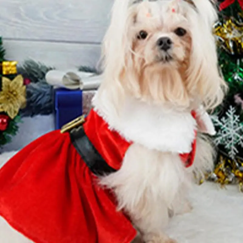 Christmas Dog Dresses For Small Dogs Clothes Winter Christmas Cosplay Dogs Pet Dress Fancy Princess Puppy Dress Bichon Spitz