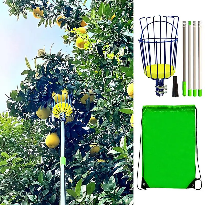 

Fruit Picker Pole With Basket Cherry Picker With Lightweight Stake & Basket Adjustable Length Stainless Steel Efficient Fruits