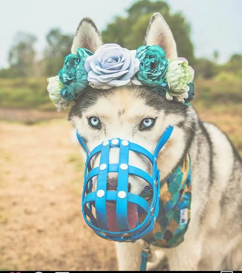 

Soft Pet Dog Muzzle Anti-biting Chewing Mask Breathable Basket Dog Muzzle Durable Strong Mask Muzzle pet Dog Supplies