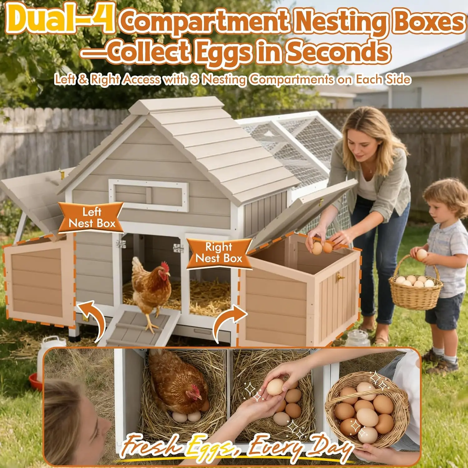 Large Chicken Coop with Run & 4 Nesting Boxes for 4-6 Hens, Customized