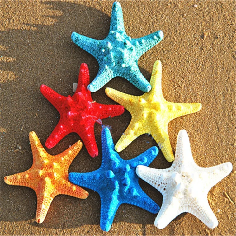 Starfish natural shell conch wall sticker floor home decoration air-dried specimen DIY crafts beach decorations for home