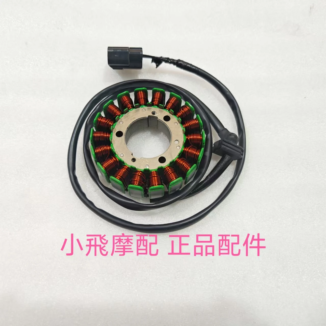para-accesorios-qjmotor-srv600v-motor-qj-srv-600v-bobina-de-carga-bobina-de-estator-magnetico