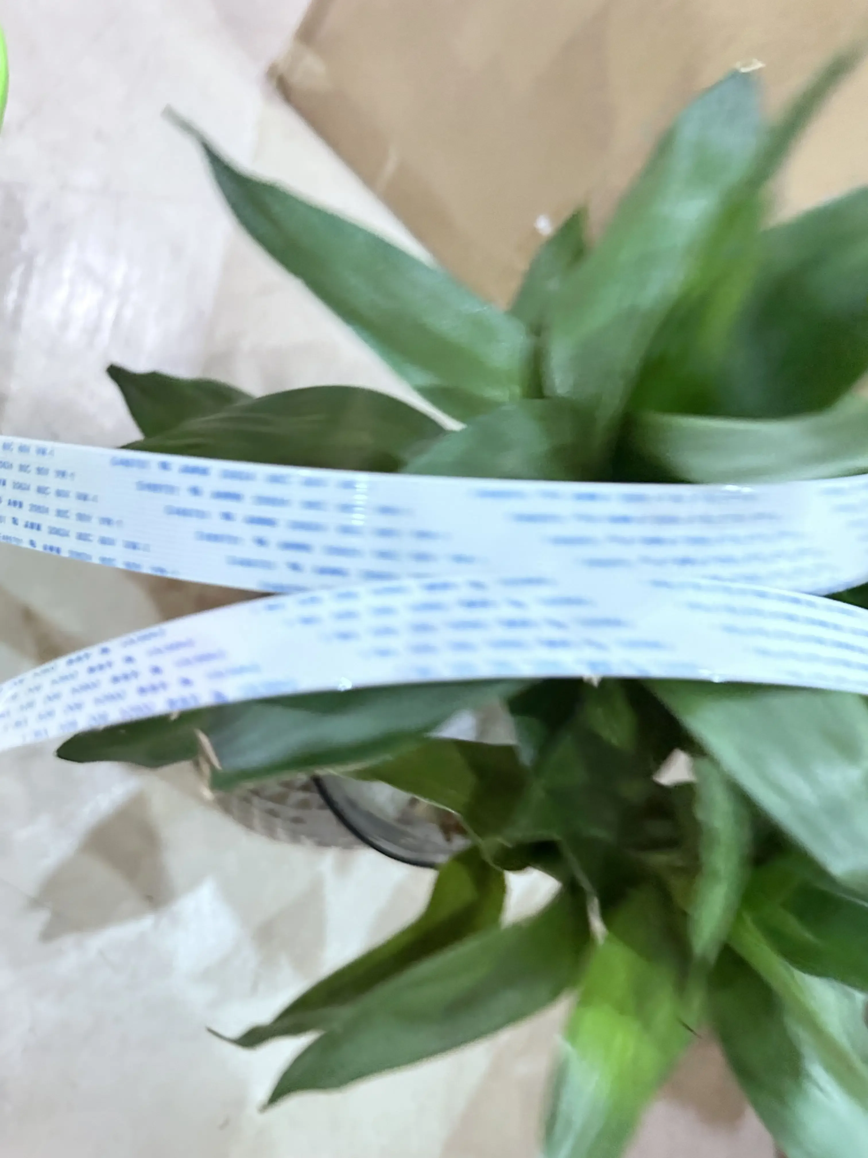 CQ893-67001 Trailing Cable 36'' A0 FOR Designjet T520 T730 T830 CQ893A F9A29A Plotter Parts POJAN