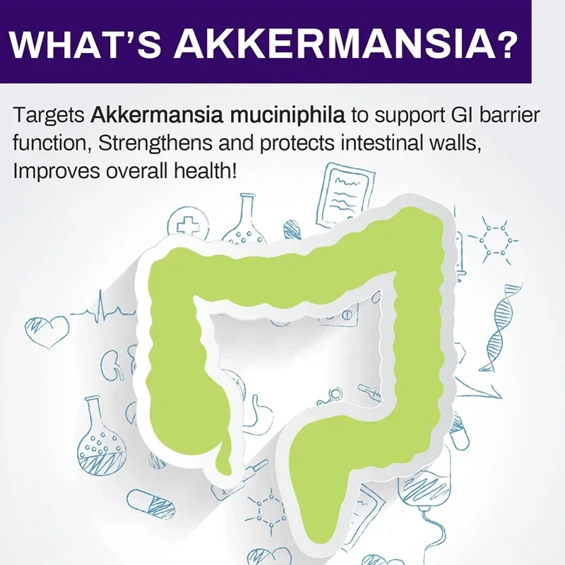 60 Capsules 300 Billion AFU Akkermansia Muciniphila Live Probiotic Digestion, Gut, Immunity, and Overall Health