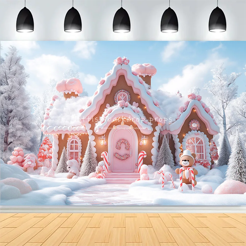 Winter Christmas Atmosphere Windows Photography Background Merry Christmas Glow Christmas Little Photo Studio Backdrops AG-76