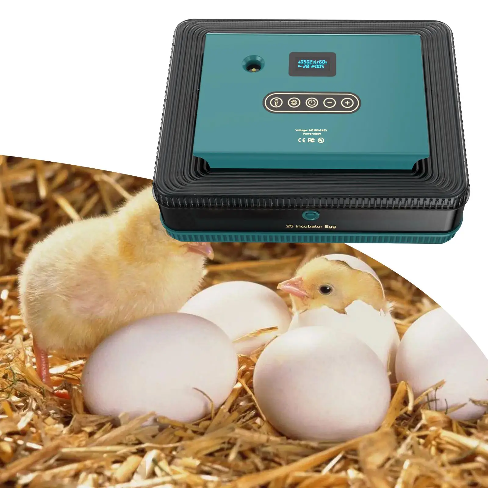 

Egg Hatching Machine with Light Automatic Intelligent Temperature Control Hatcher Machine for Chicken Goose Birds Quail 25 Eggs