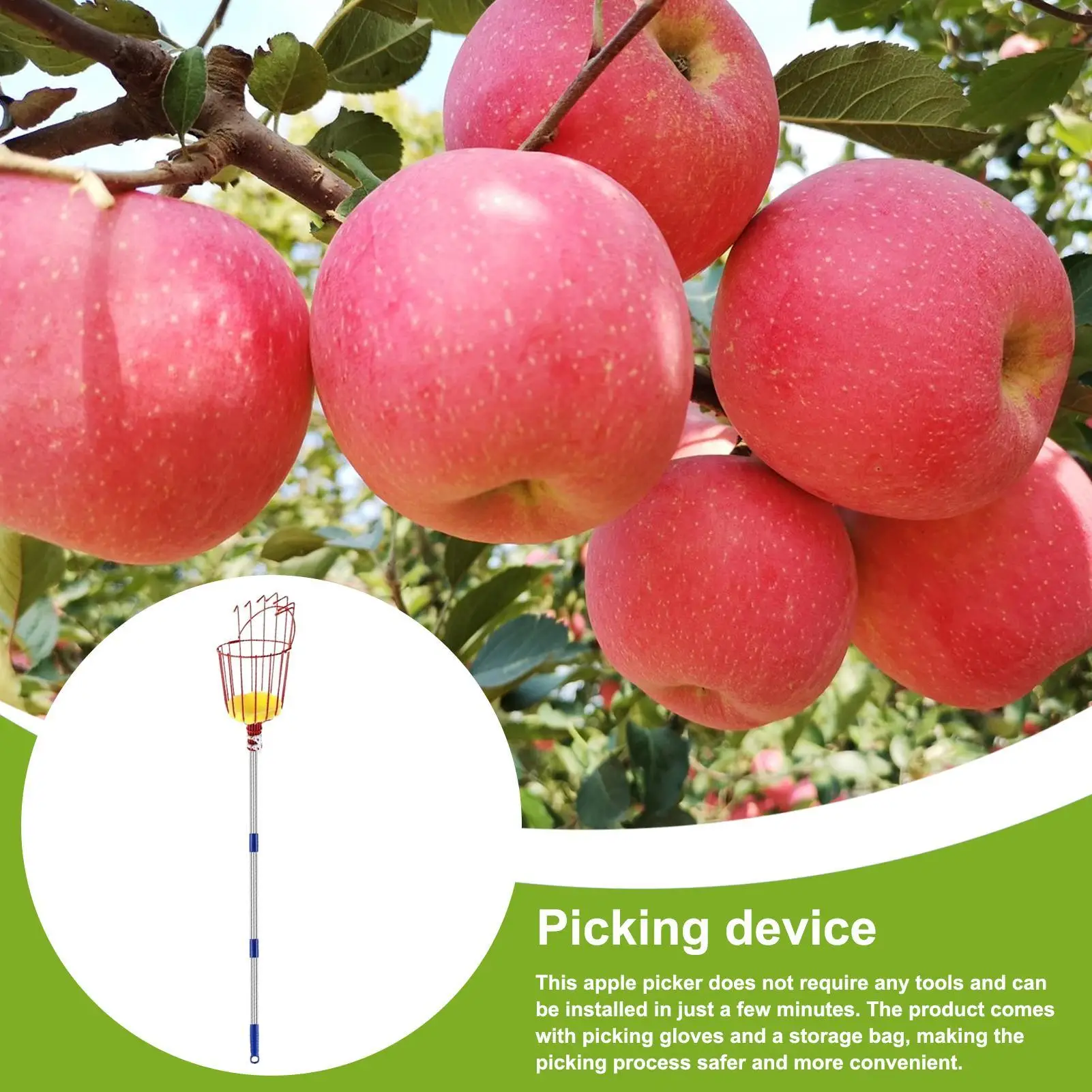 Fruit Picker 13 Ft Mango Picker with Retractable Handle and Basket Professional Pick Pole for Peach Pear Avocado Lemon