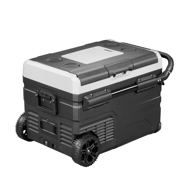 

The latest car refrigerator 55L 12v DC compressor portable freezer