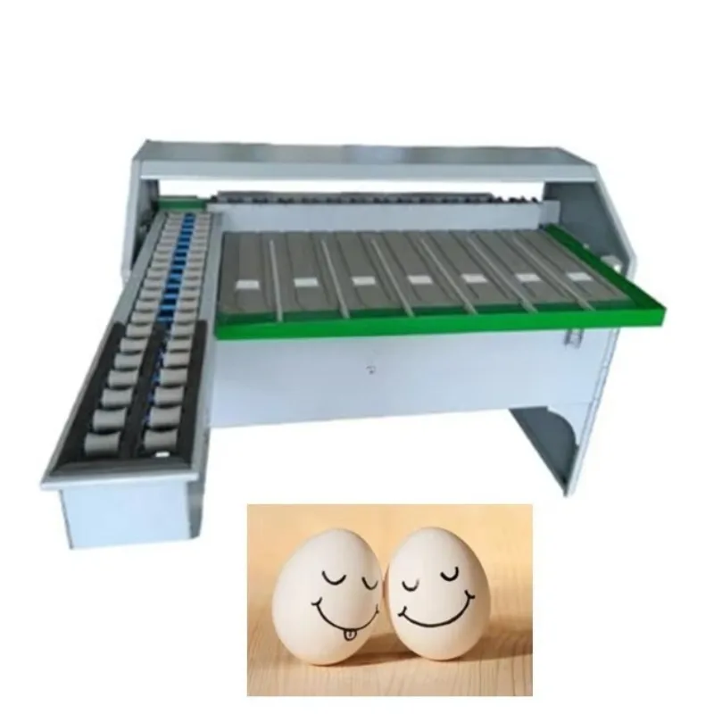 Egg Size Sorting Machine Grader with Printer/egg Classification Machine/commercial Egg Separator Customized