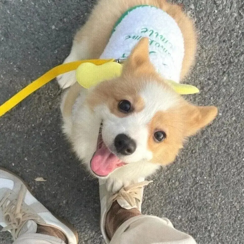 car-cquartz-skin-50ml-ppf-vinyle-nano-coat-protection-uv-pour-vehicules-enveloppes-avec-film-vinyle-resistant-aux-uva-uvb