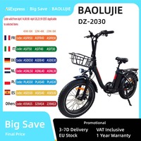 BAOLUJIE DZ-2030 Electric Bicycle 20*4.0 Inch Wide Tire 500W Motor 48V 13Ah Battery Adult Electric Bicycle